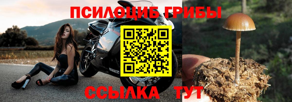 Псилоцибиновые грибы MAGIC MUSHROOMS Омск